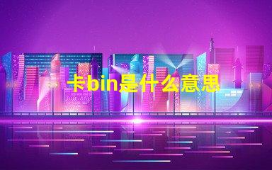卡bin是什么意思 bin文件是什么意思